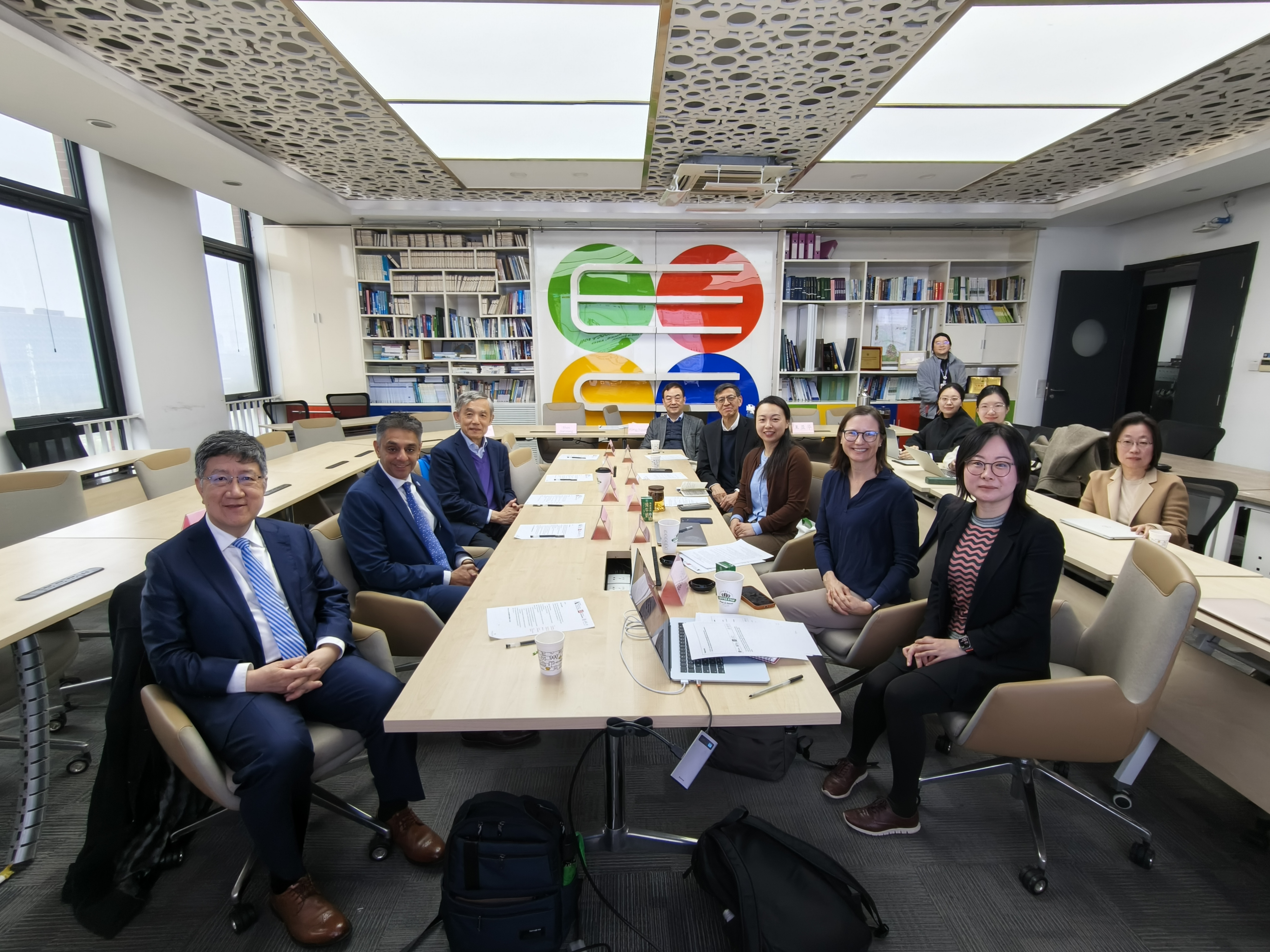 LSE-Tsinghua Sustainability Research Project
